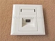 optical faceplate