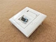 faceplate optical fiber